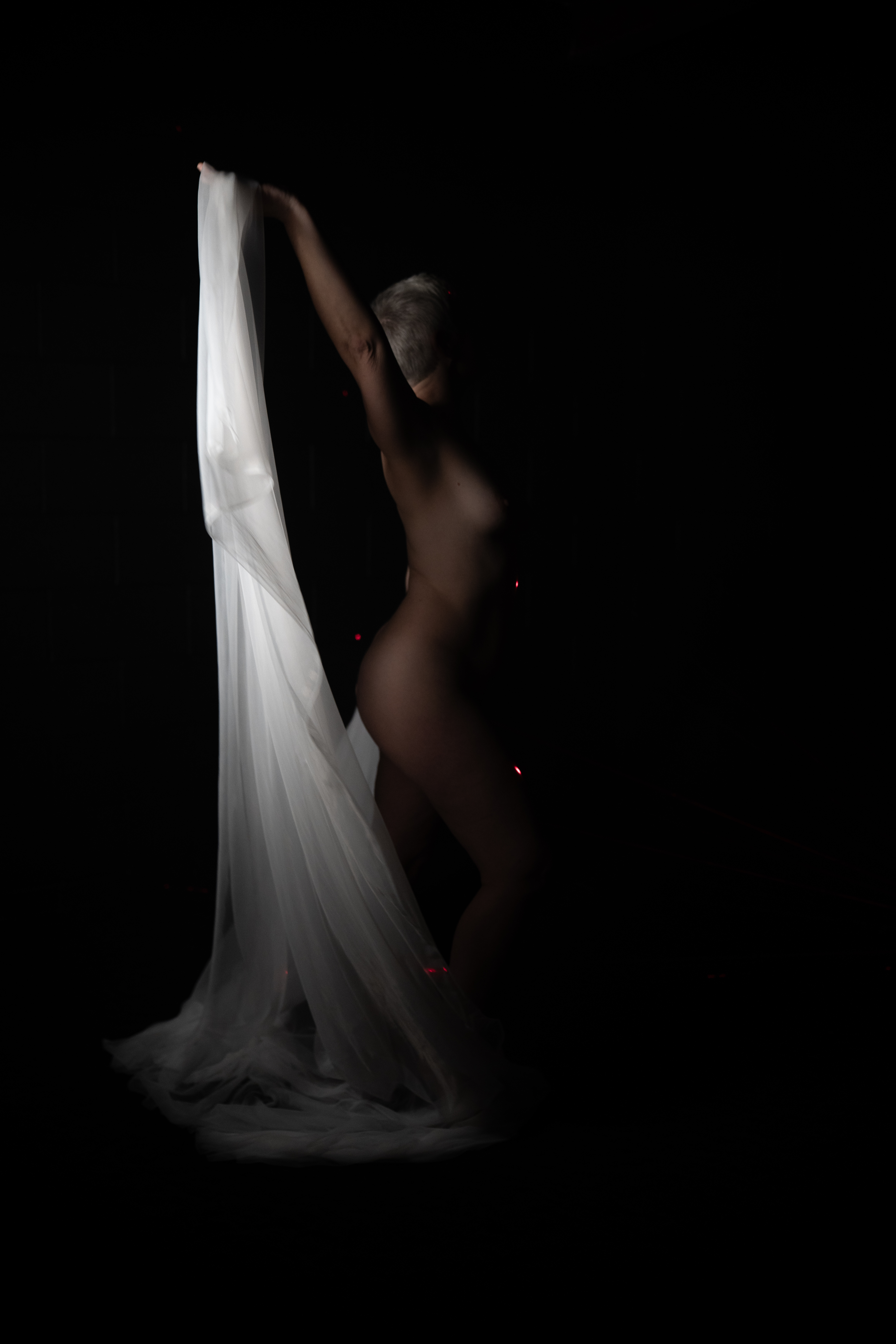 Adam Rosen Photography Megan Lasers Nude